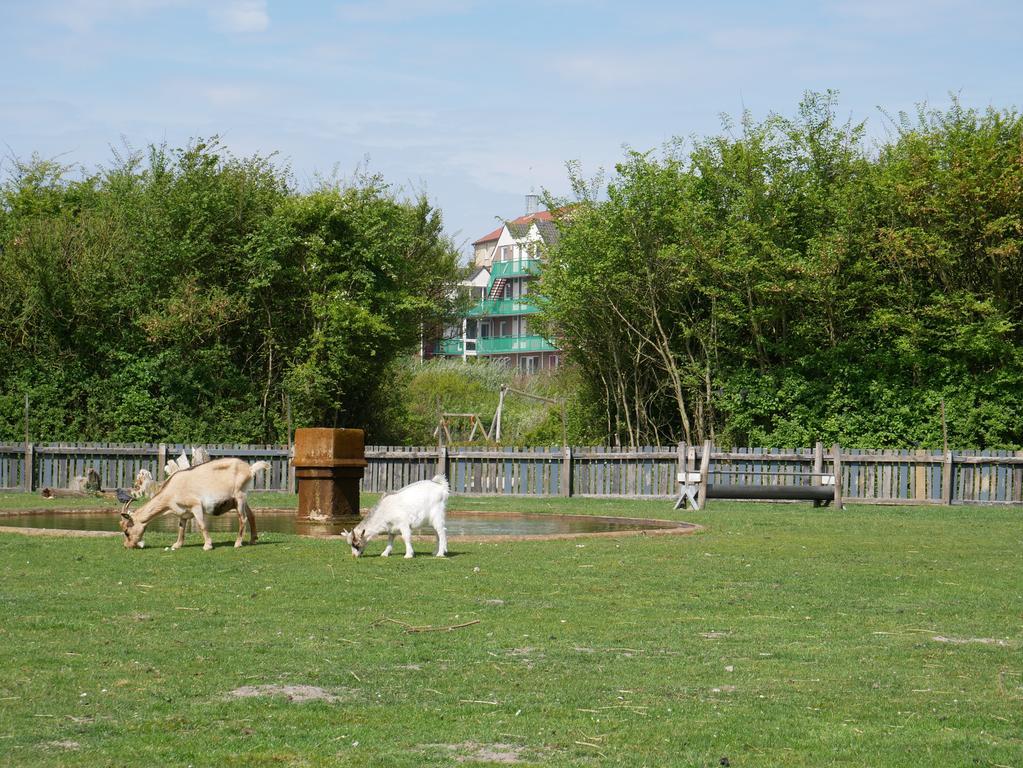 Aparthotel Huize De Duinen Bergen aan Zee Exterior foto